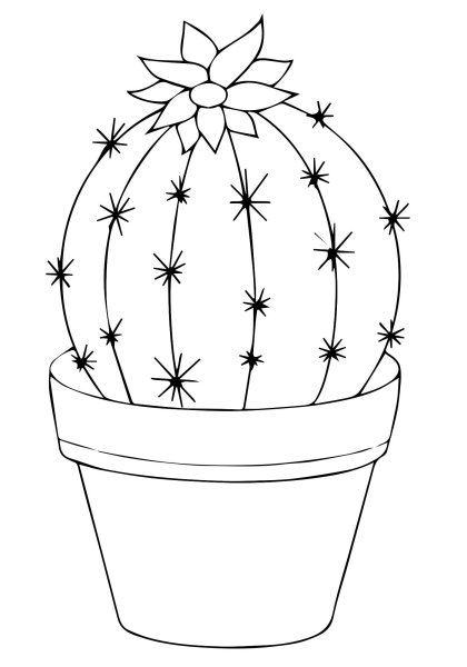 Кактус раскраска