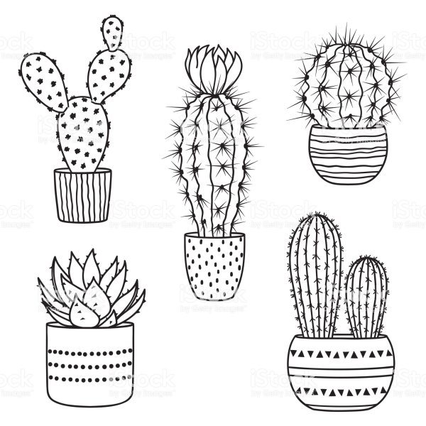 Кактус трафарет