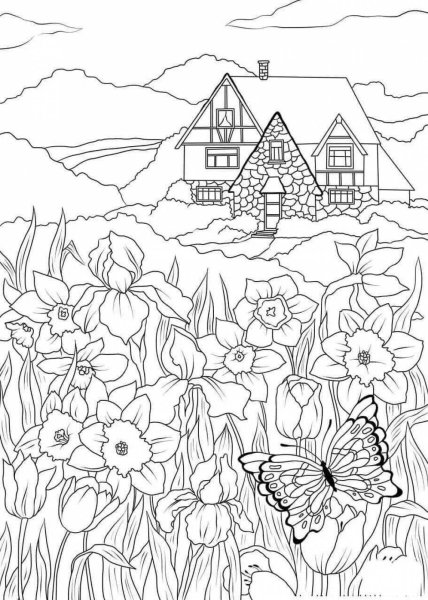 Летний пейзаж раскраска