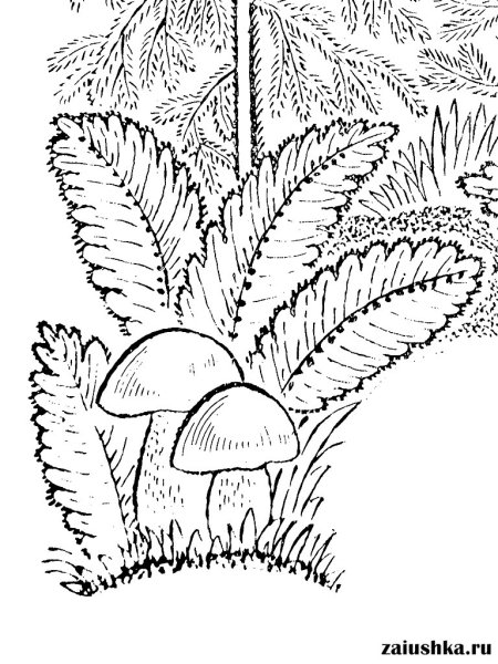 Папоротник раскраска для детей