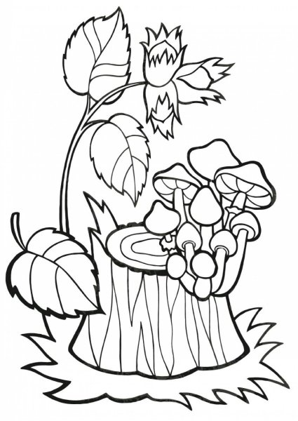 Осенние раскраски для малышей