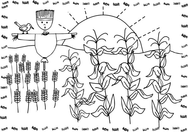 Растения поля раскраска