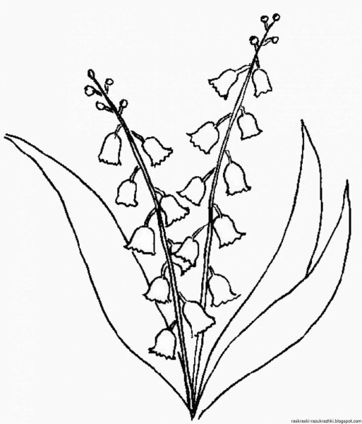 Ландыш раскраска для детей