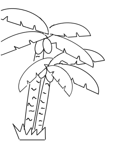 Лист пальмы раскраска для детей