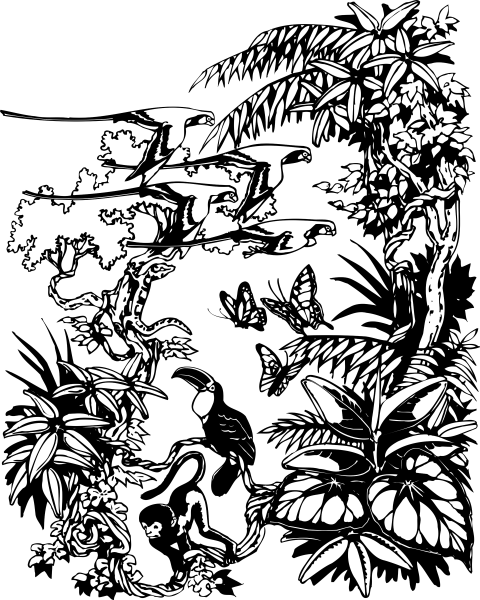 Джунгли Графика