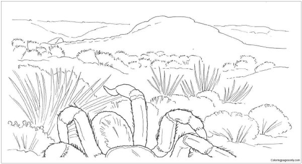 Степь раскраска для детей