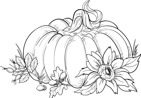 Натюрморт с тыквой раскраска