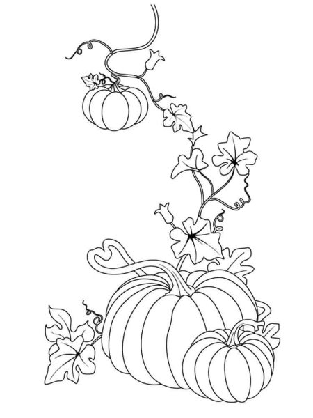 Тыква раскраска