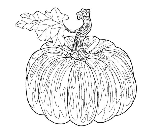 Маленькие тыковки раскраска