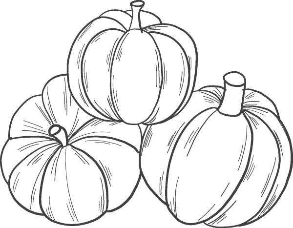 Подсолнух м две тыквы раскраска