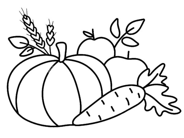 Осенние овощи контур