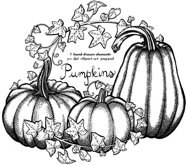 Тыква эскиз