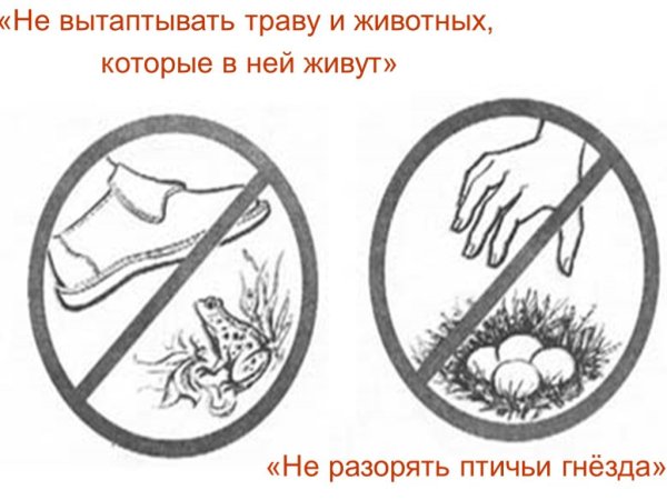 Экологический знак не разоряйте птичьи гнезда