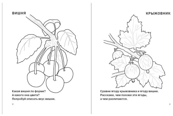 Ягоды задания для дошкольников