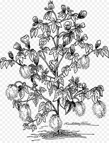 Кустарник карандашом