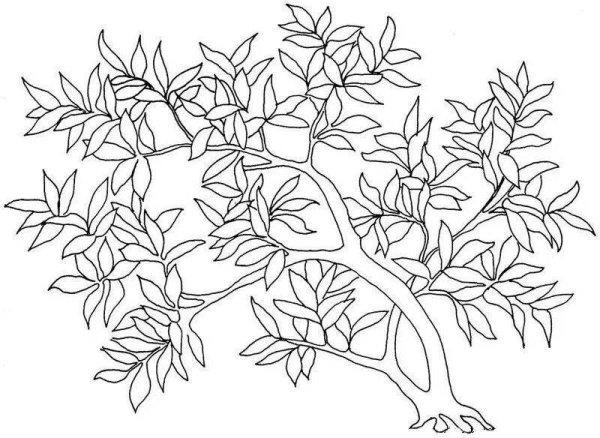 Раскраска кустарники для детей
