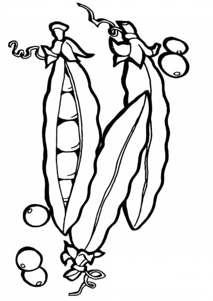 Фасоль раскраска для детей