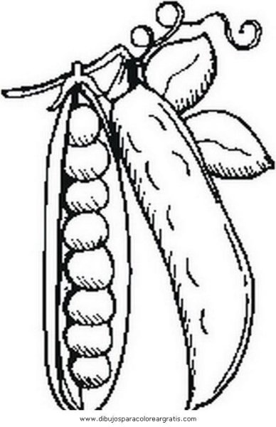 Горох раскраска для детей