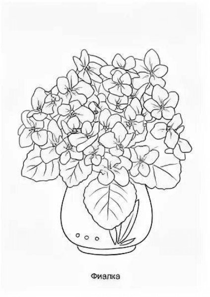 Раскраска фиалка в горшке