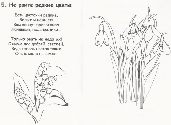 Растения красной книги раскраска для детей