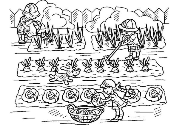 Огород раскраска для детей