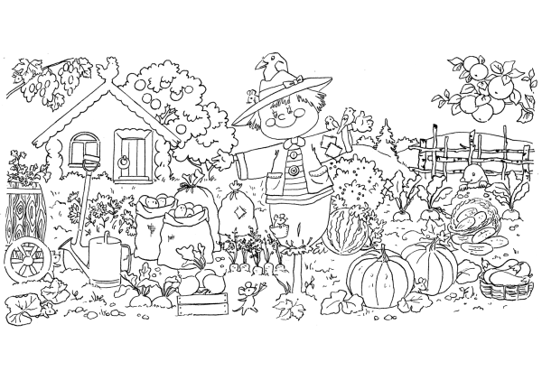 Раскраска. В огороде