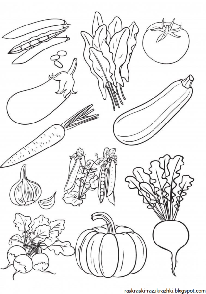 Овощи раскраска для детей