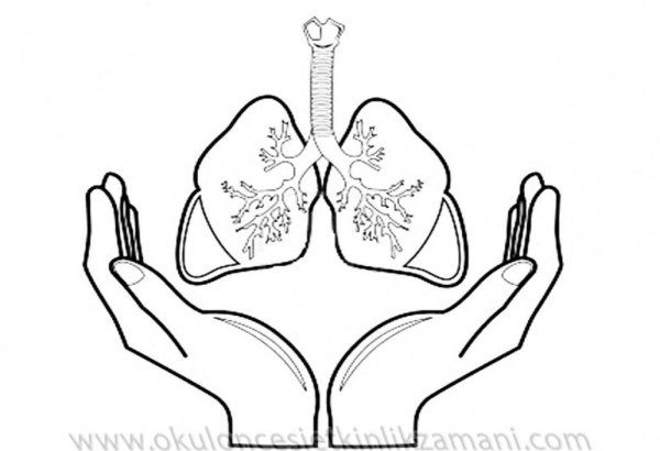 Раскраски против курения для детей