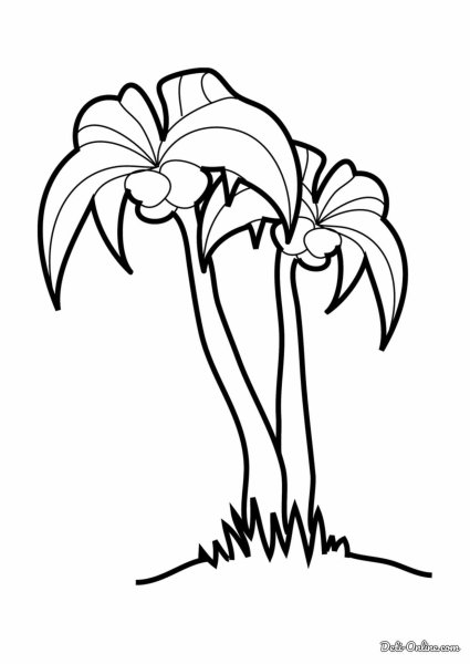 Пальма раскраска для детей