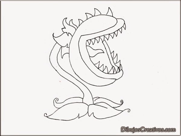 Раскраска Хищные растения