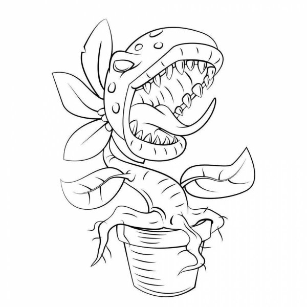 Венерина мухоловка раскраска