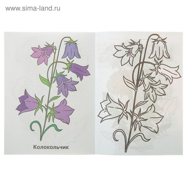 Колокольчик карандашом