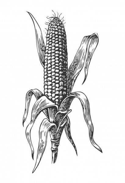 Стилизация кукурузы