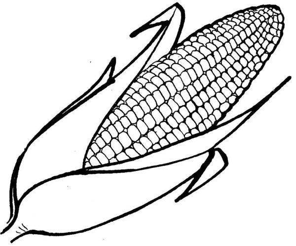 Кукуруза раскраска для детей