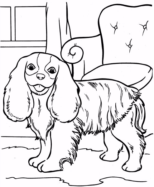 Раскраска собачка