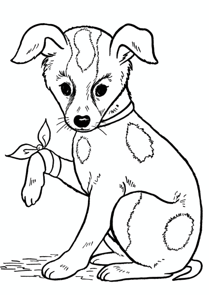Собака раскраска для детей