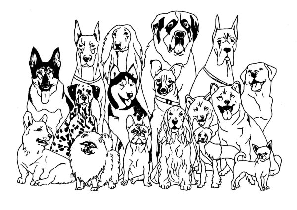 Раскраска "собаки"
