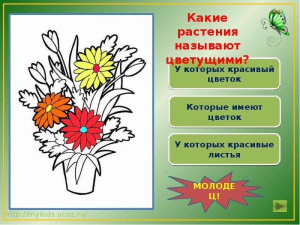 Презентация раскраска цветы