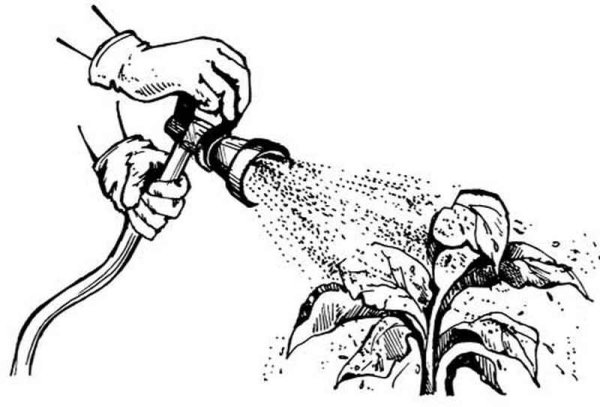 Внекорневая подкормка растений