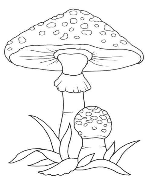 Разукрашки для детей гриб мухомор
