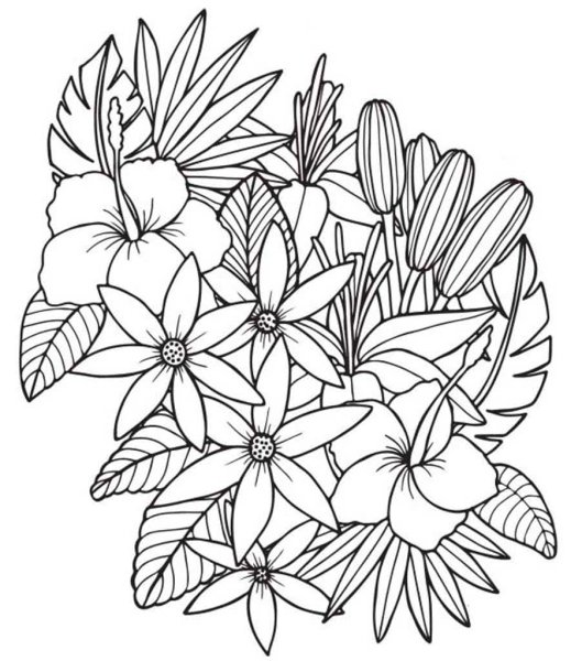 Раскраски цветы красивые