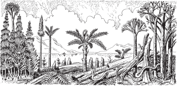 Древовидные папоротники палеозойской эры