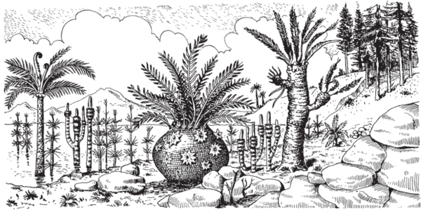 Саговники Юрского периода