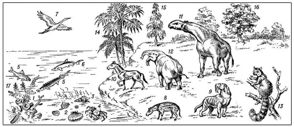 Раскраски. Доисторический животный мир
