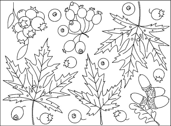 Раскраска листопад для дошкольников