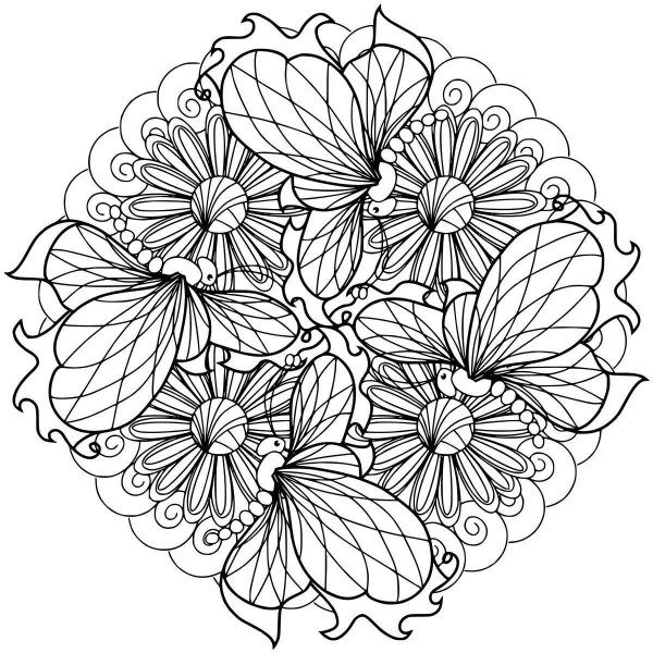 Раскраска антистресс "цветы"