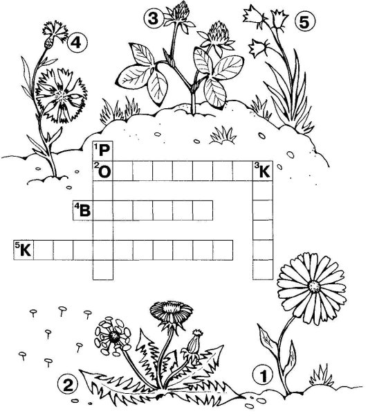 Летний кроссворд для детей