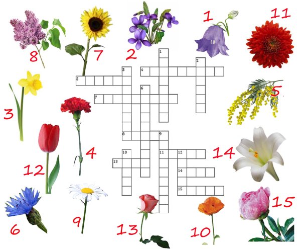 Кроссворд цветы для детей