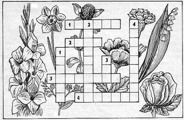 Кроссворд о цветах