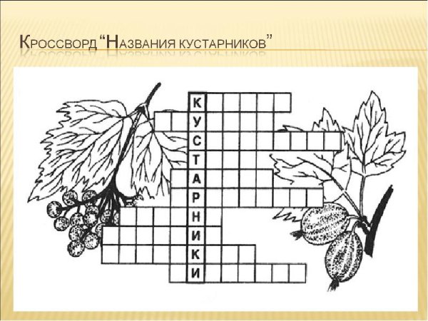 Кроссворд кустарники